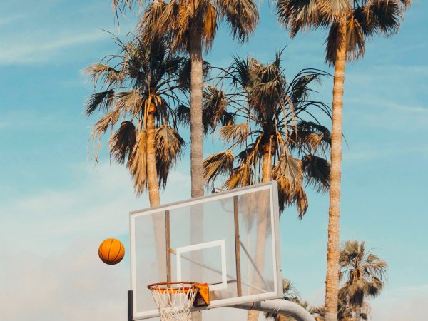 yannic-laderach-nn2glX4YIe8-unsplash